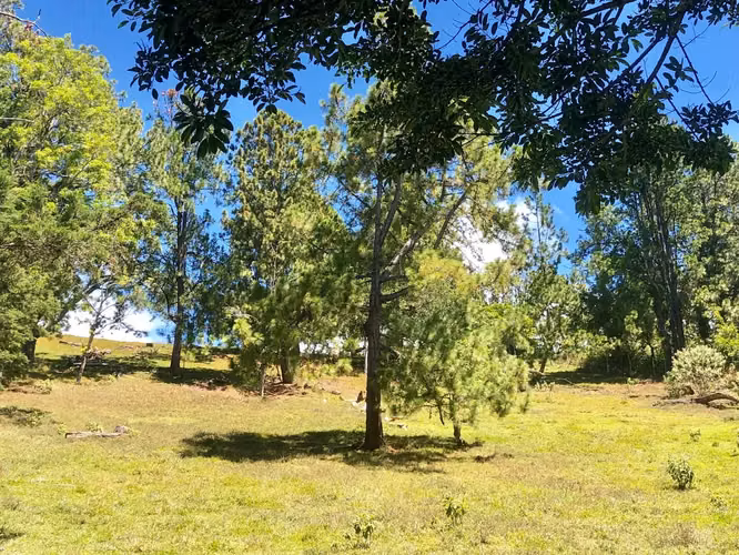 Venta / Hermoso Terreno (Con Permiso de Uso Comercial) San Isidro, Heredia - Imagen 9