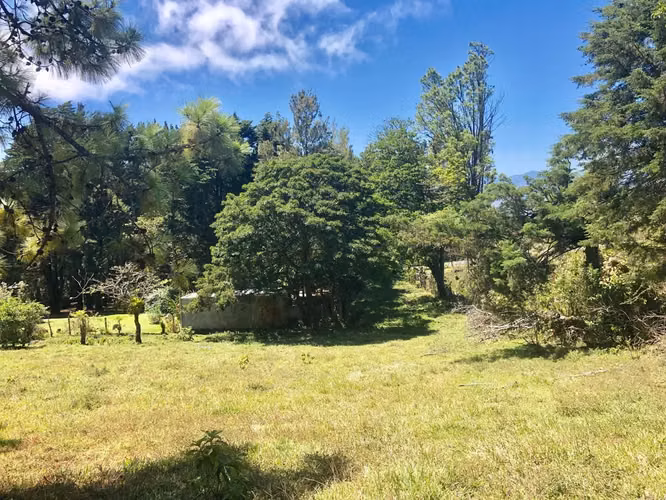 Venta / Hermoso Terreno (Con Permiso de Uso Comercial) San Isidro, Heredia - Imagen 4