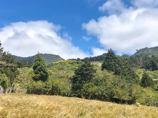Venta / Hermoso Terreno (Con Permiso de Uso Comercial) San Isidro, Heredia - Imagen 3