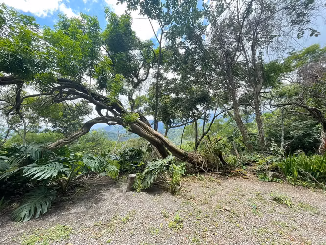Lotes en venta en las montañas de Santa Ana - Imagen 11