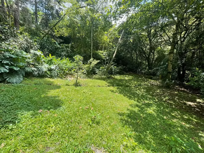 Lotes en venta en las montañas de Santa Ana - Imagen 9