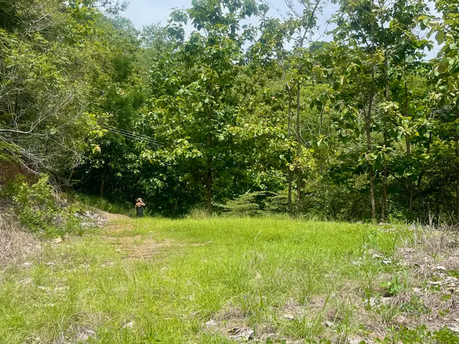 Increíble Lote con Vista al Mar en Tambor - Listo para Construir - Imagen 3