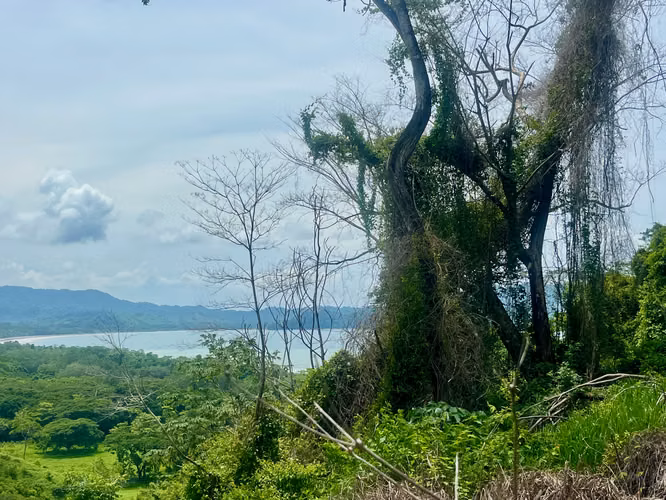Increíble Lote con Vista al Mar en Tambor - Listo para Construir - Imagen 4
