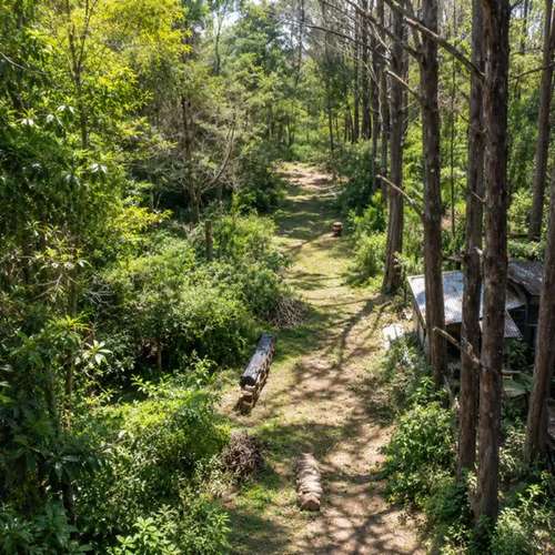 Retiro Privado en la Naturaleza en Heredia | 10,830 m² de Bosque, Clima Fresco de Montaña y Potencial Infinito - Imagen 10