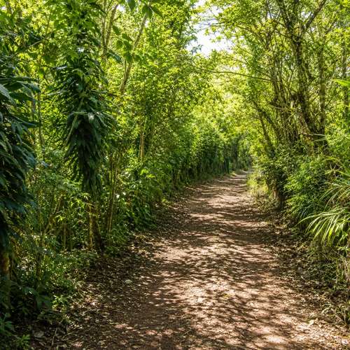 Retiro Privado en la Naturaleza en Heredia | 10,830 m² de Bosque, Clima Fresco de Montaña y Potencial Infinito - Imagen 6