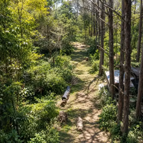 Retiro Privado en la Naturaleza en Heredia | 10.830 m² de Bosque, Clima Fresco de Montaña y Potencial Infinito - Imagen 10