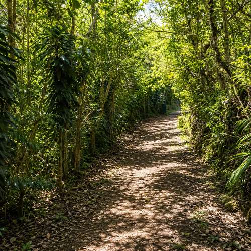 Retiro Privado en la Naturaleza en Heredia | 10,830 m² de Bosque, Clima Fresco de Montaña y Potencial Infinito - Imagen 8