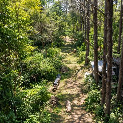 Retiro Privado en la Naturaleza en Heredia | 10,830 m² de Bosque, Clima Fresco de Montaña y Potencial Infinito - Imagen 2