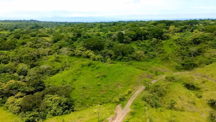 Vida ecológica moderna en una comunidad cerrada en Santa Teresa, Costa Rica. Los lotes comienzan en $110,000. - Imagen 4