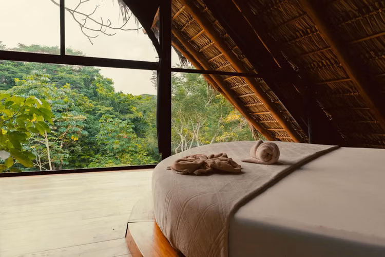 Ecoalbergue rentable cerca de Santa Teresa y a 7 minutos de Hermosa - Estudio de yoga, spa, sauna y villas | Éxito comprobado para inversores - Imagen 9
