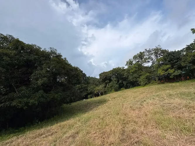 Terreno de uso mixto de 6,179 m² en Delicias, a minutos de Montezuma y Santa Teresa - Imagen 5