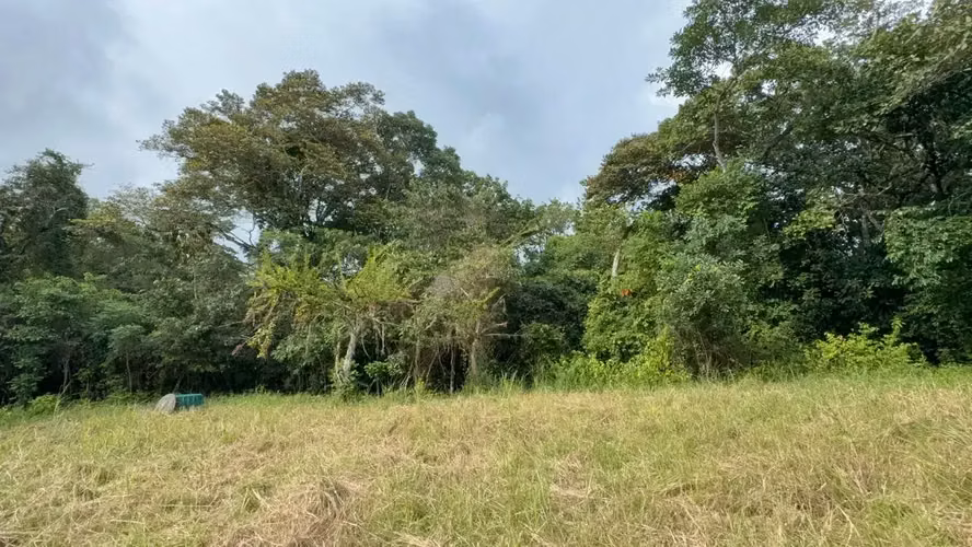 Terreno de uso mixto de 6,179 m² en Delicias, a minutos de Montezuma y Santa Teresa - Imagen 7