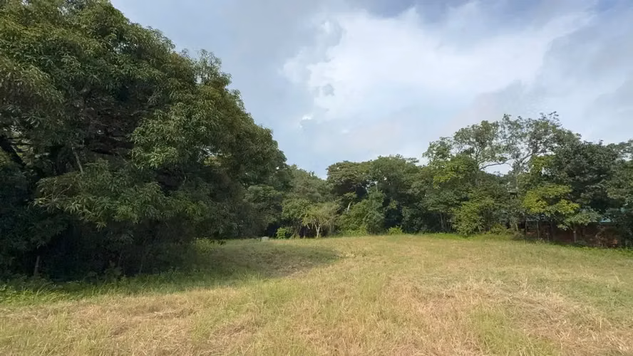 Terreno de uso mixto de 6,179 m² en Delicias, a minutos de Montezuma y Santa Teresa - Imagen 2