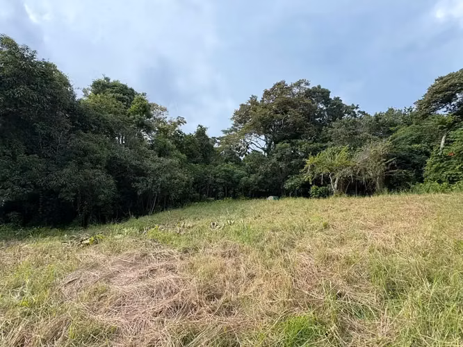 Terreno de uso mixto de 6,179 m² en Delicias, a minutos de Montezuma y Santa Teresa - Imagen 11