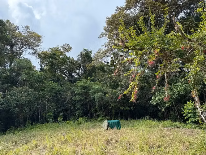 Terreno de uso mixto de 6,179 m² en Delicias, a minutos de Montezuma y Santa Teresa - Imagen 8