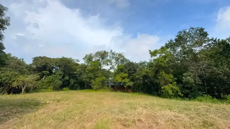 Terreno de uso mixto de 6,179 m² en Delicias, a minutos de Montezuma y Santa Teresa - Imagen 4