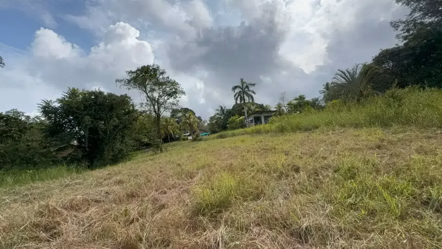 Terreno de uso mixto de 6,179 m² en Delicias, a minutos de Montezuma y Santa Teresa - Imagen 6