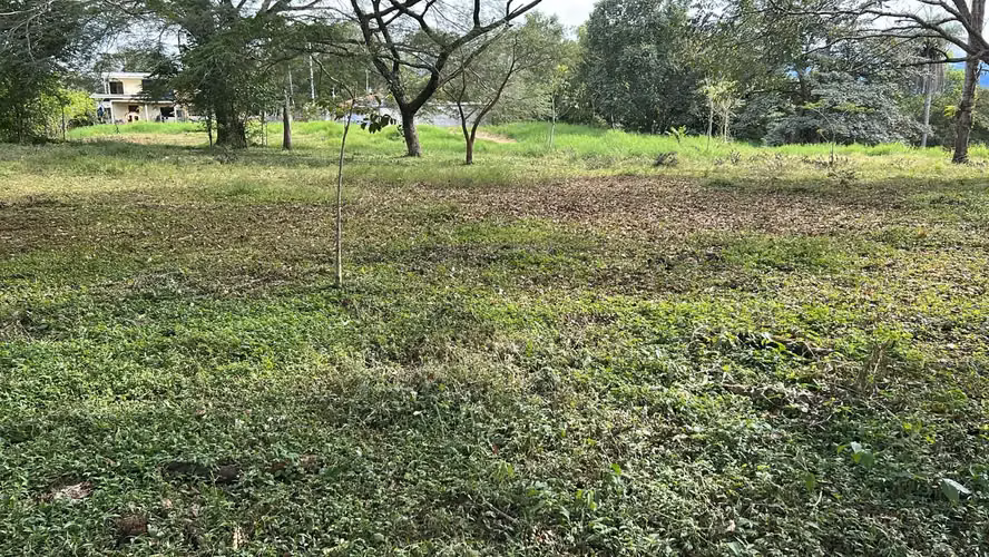 magníficos terrenos
