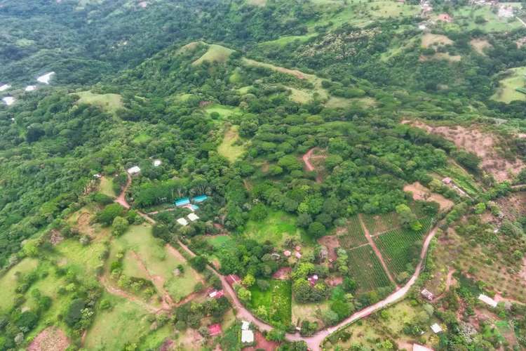 Finca Cafetalera de 68.90 Acres: Piscina, Establo y Vistas Panorámicas a la Montaña