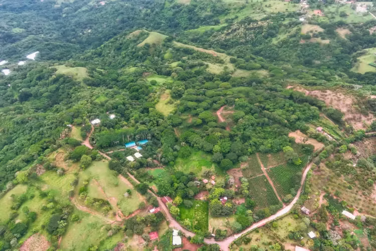 71-Acre Coffee Farm Estate: Pool, Stables & Panoramic Mountain Vistas - Imagen 14