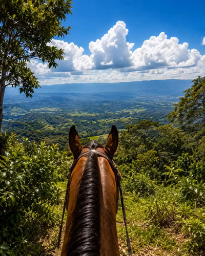 71-Acre Coffee Farm Estate: Pool, Stables & Panoramic Mountain Vistas - Imagen 5