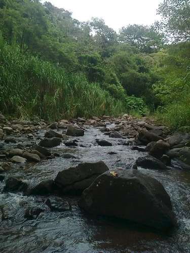Finca Cafetalera de 68.90 Acres: Piscina, Establo y Vistas Panorámicas a la Montaña