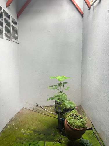 Edificio Comercial Multifuncional en Venta – Centro de San José - Imagen 10