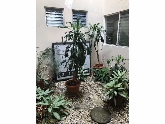 Propiedad en venta en Paseo Colón