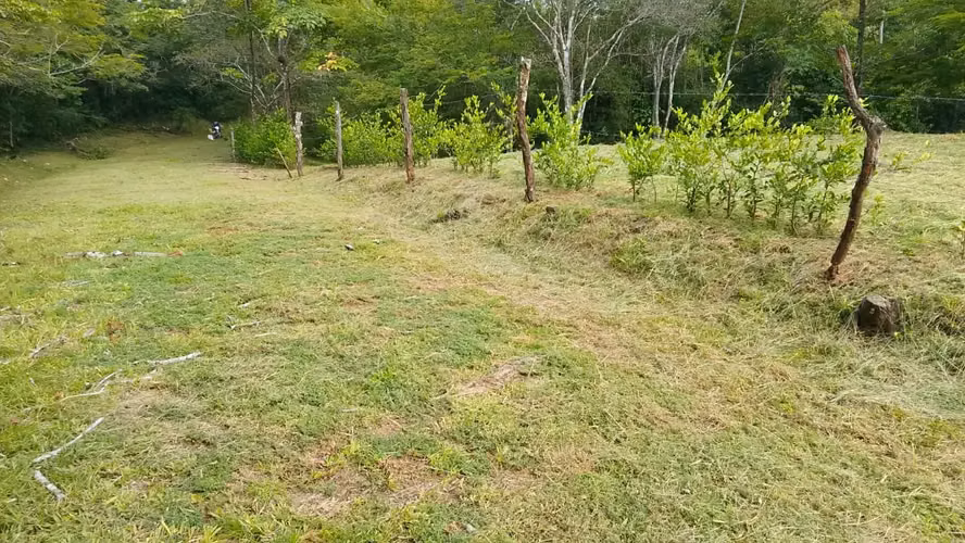 Hermoso lote listo para construir en Delicias – Excelente precio, permisos incluidos