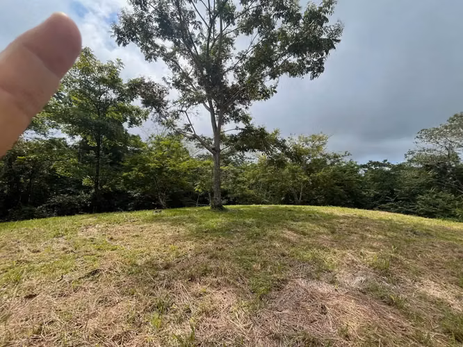 Hermoso lote listo para construir en Delicias – Excelente precio, permisos incluidos