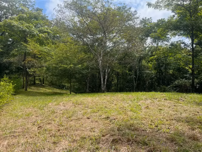 Hermoso lote listo para construir en Delicias – Excelente precio, permisos incluidos