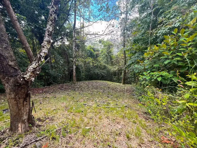 Hermoso lote listo para construir en Delicias – Excelente precio, permisos incluidos