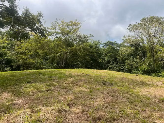 Hermoso lote listo para construir en Delicias – Excelente precio, permisos incluidos