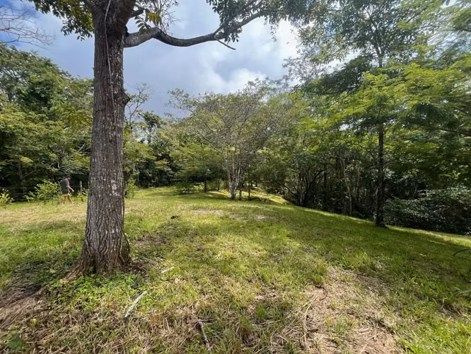 Hermoso lote listo para construir en Delicias – Excelente precio, permisos incluidos