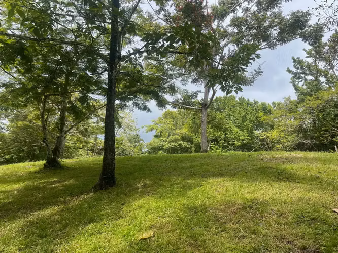 Beautiful Ready to Build Lot in Delicias, Great Price with Project and Permits included