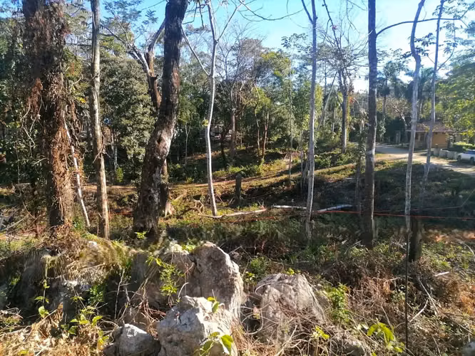 Increíble terreno en la montaña tropical en venta - Santa Teresa - Imagen 14