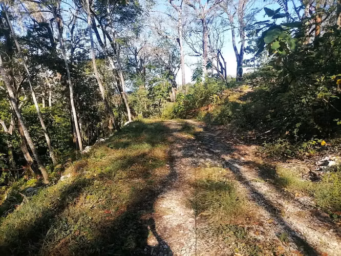Increíble terreno en la montaña tropical en venta - Santa Teresa - Imagen 8