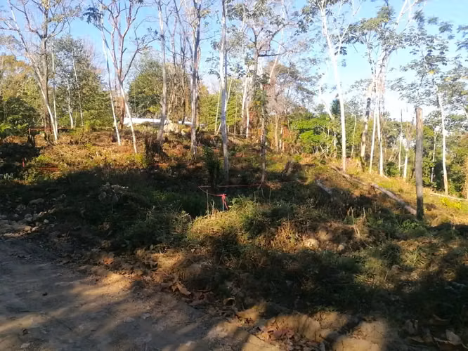 Increíble terreno en la montaña tropical en venta - Santa Teresa - Imagen 2