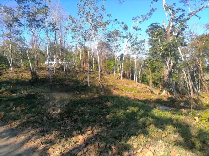 Increíble terreno en la montaña tropical en venta - Santa Teresa - Imagen 9