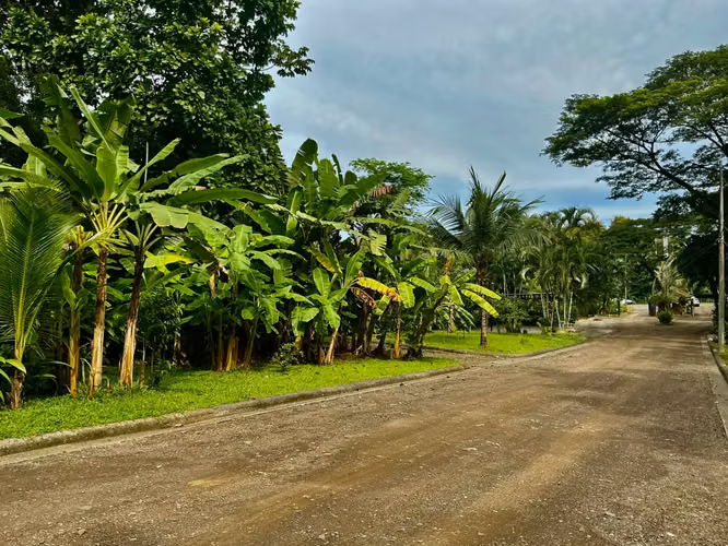 Exclusivo Lote en Venta en Plantation Acres: Construya su Paraíso Tropical Cerca de las Playas del Pacífico Central - Imagen 3