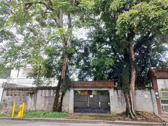 Terreno comercial de primera categoría en la calle Lapa Verde | Oportunidad de inversión de 931 m² en Jacó - Imagen 6