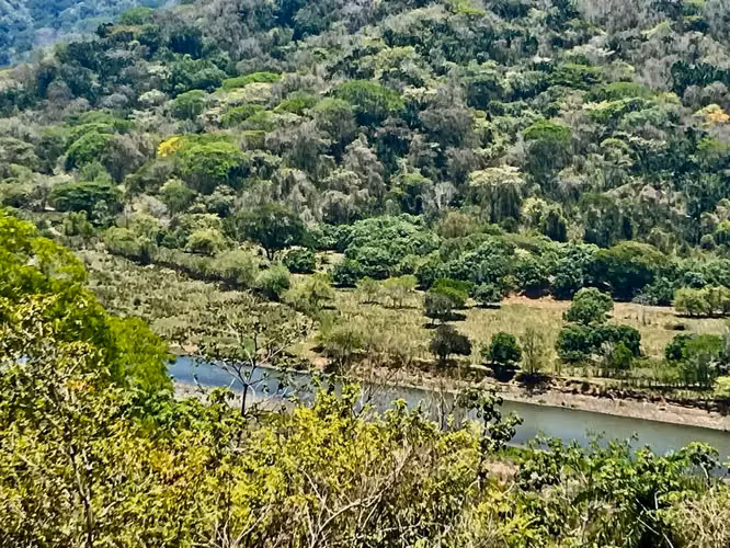 Terreno en venta: 2 Hectáreas con Vistas Panorámicas a la Reserva Carara y Río Tárcoles