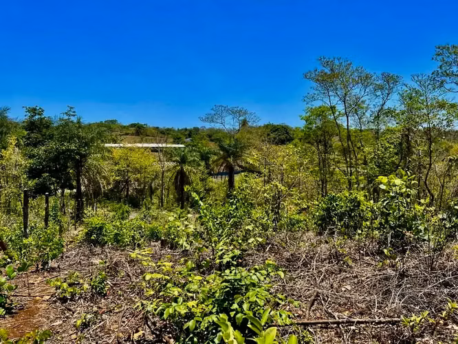Terreno en venta: 2 Hectáreas con Vistas Panorámicas a la Reserva Carara y Río Tárcoles
