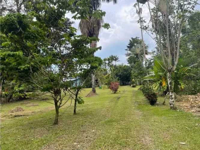 Paraíso caribeño, Guácimo, Limón