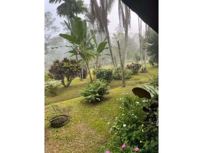Paraíso caribeño, Guácimo, Limón
