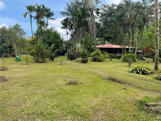 Paraíso caribeño, Guácimo, Limón