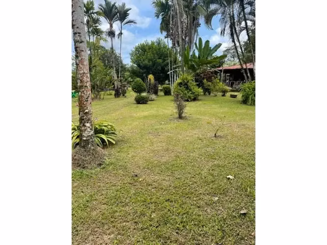 Paraíso caribeño, Guácimo, Limón