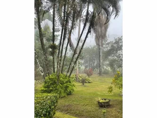 Paraíso caribeño, Guácimo, Limón