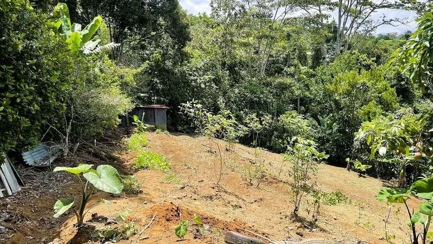 TERRENO EN VENTA EN ZARAGOZA, PALMARES