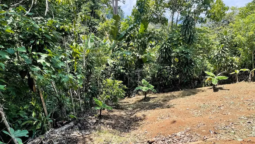 LOTE EN VENTA EN ZARAGOZA, PALMARES - Imagen 3